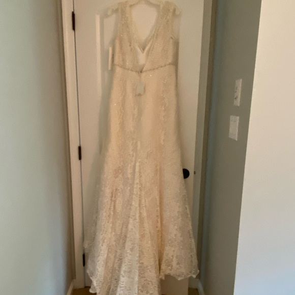 Brand new, never worn David’s Bridal Beaded Lace Wedding Gown in Ivory-Champagne - Picture 2 of 5